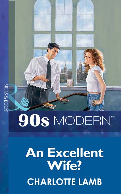 Обложка книги «An Excellent Wife?»