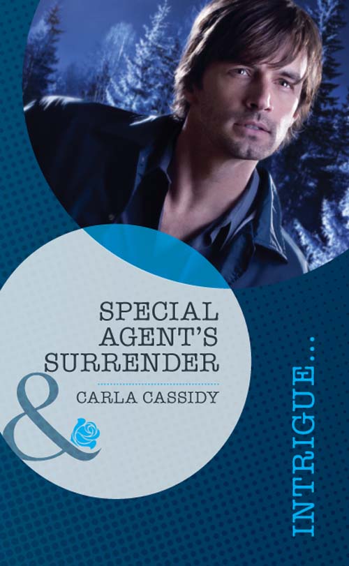 Обложка книги «Special Agent's Surrender»