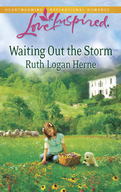Обложка книги «Waiting Out the Storm»