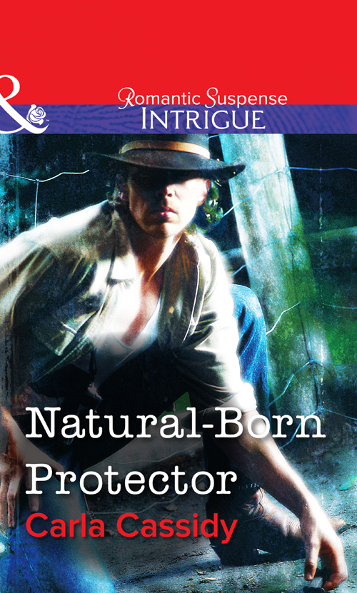 Обложка книги «Natural-Born Protector»