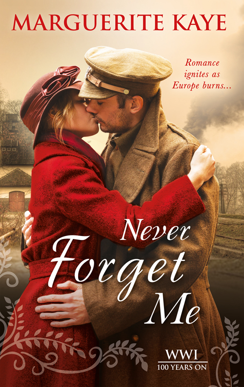 Обложка книги «Never Forget Me»