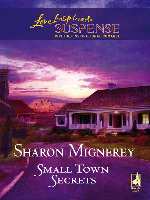 Обложка книги «Small Town Secrets»