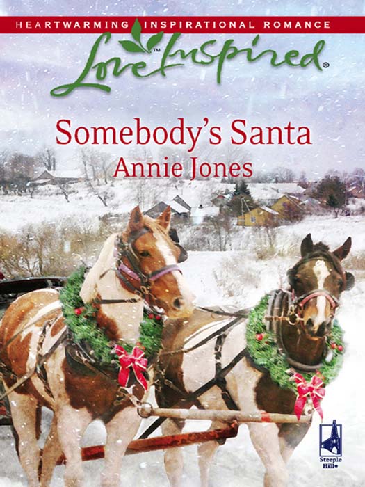 Обложка книги «Somebody's Santa»
