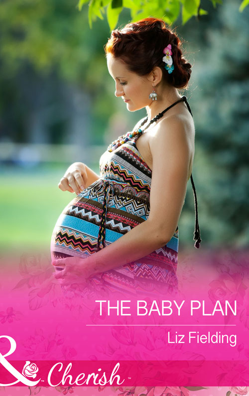 Обложка книги «The Baby Plan»