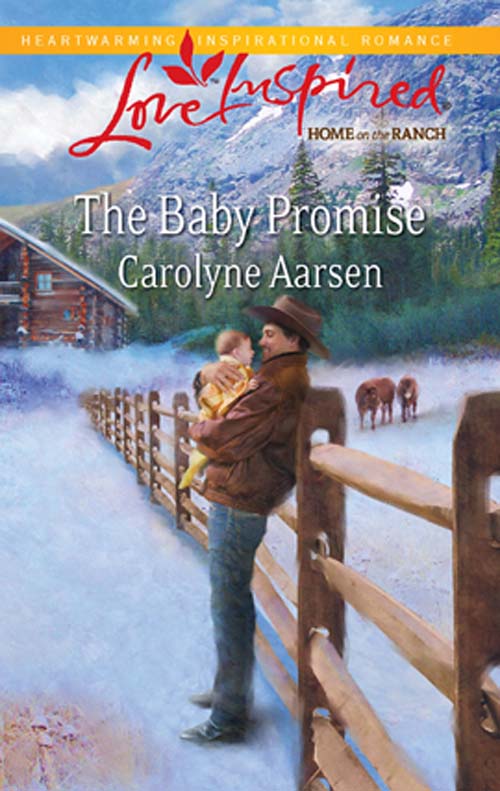 Обложка книги «The Baby Promise»