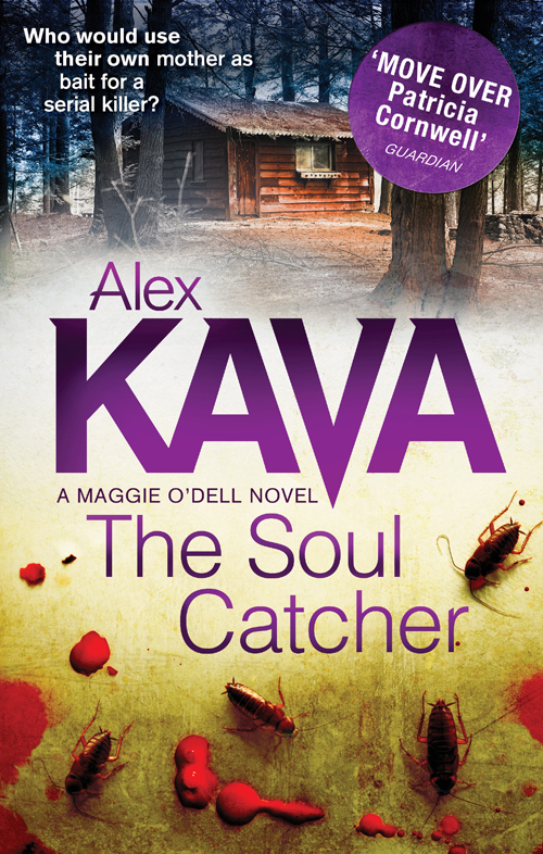 Обложка книги «The Soul Catcher»