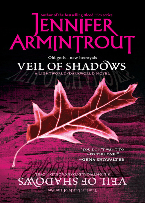 Обложка книги «Veil Of Shadows»