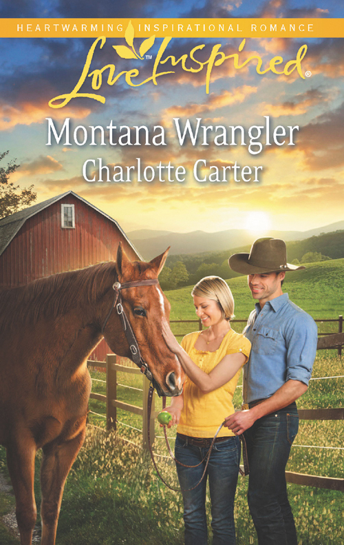 Обложка книги «Montana Wrangler»