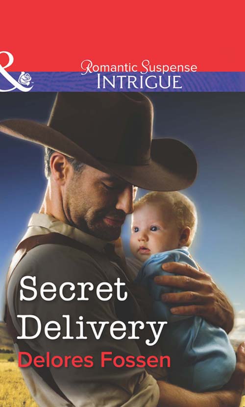 Обложка книги «Secret Delivery»