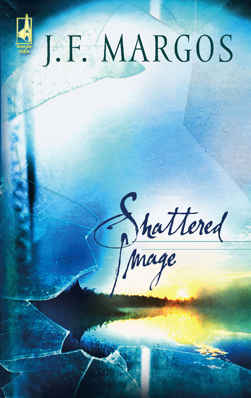 Обложка книги «Shattered Image»