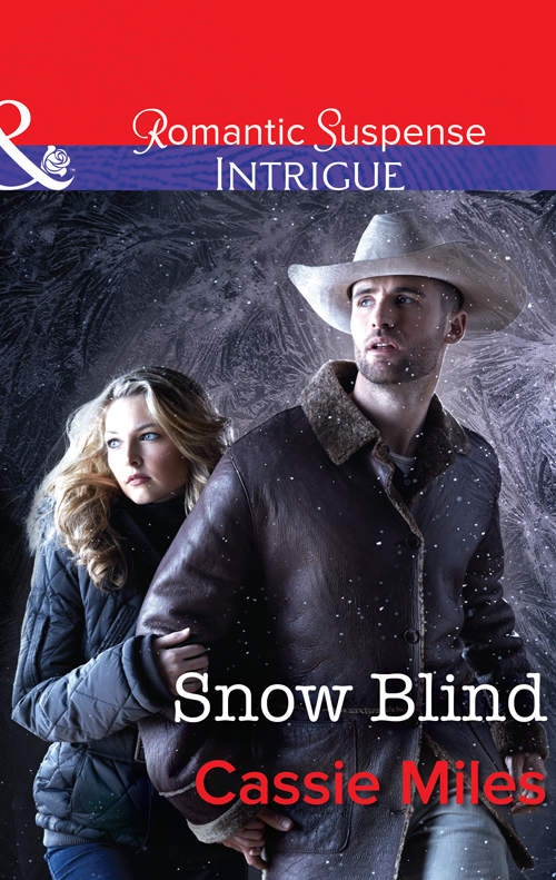Обложка книги «Snow Blind»