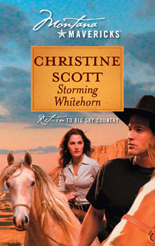 Обложка книги «Storming Whitehorn»