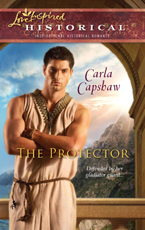 Обложка книги «The Protector»