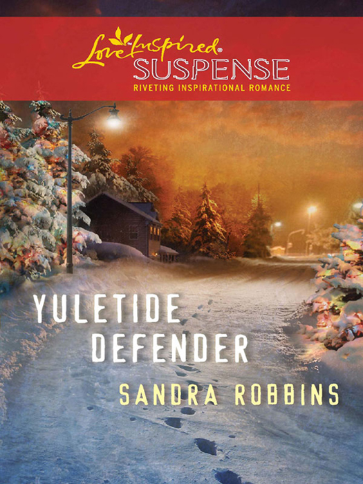 Обложка книги «Yuletide Defender»