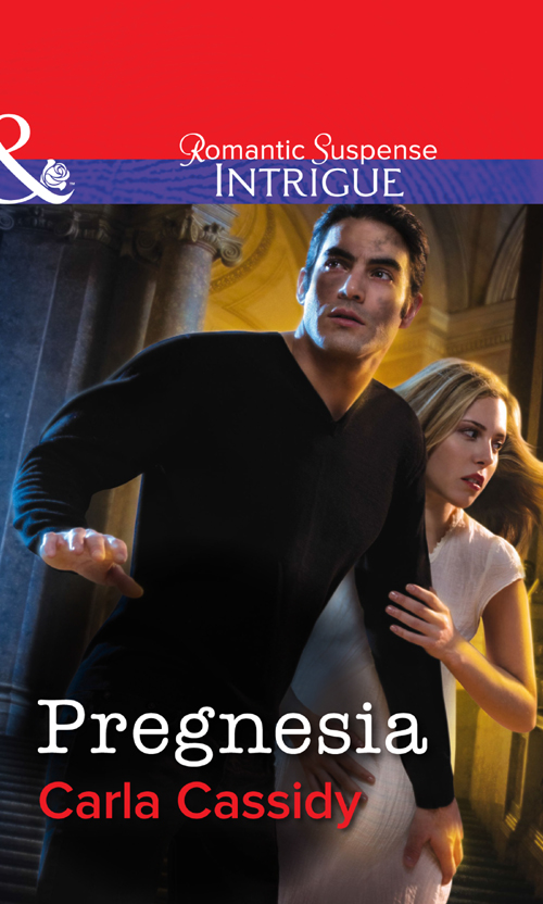 Обложка книги «Pregnesia»