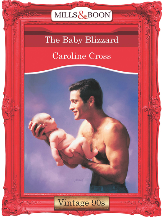 Обложка книги «The Baby Blizzard»