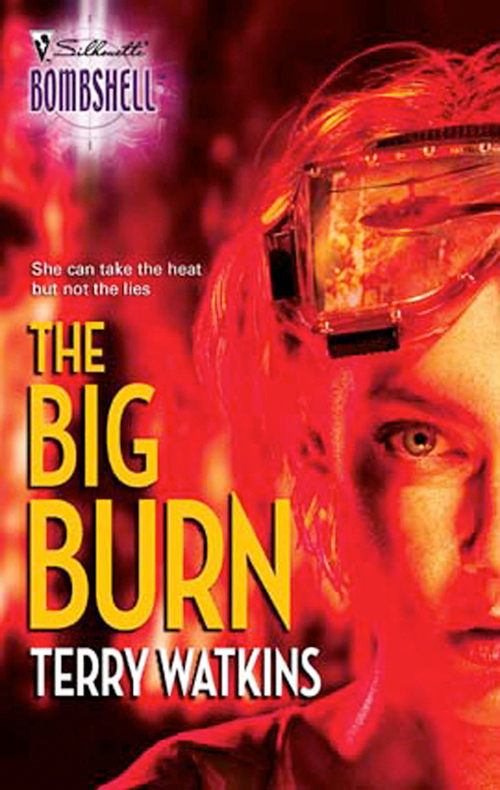 Обложка книги «The Big Burn»