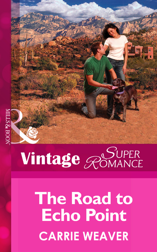Обложка книги «The Road To Echo Point»
