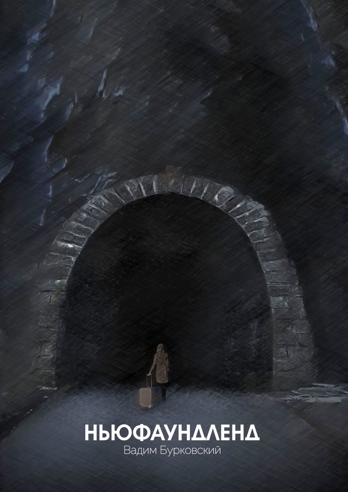 Обложка книги «Ньюфаундленд»