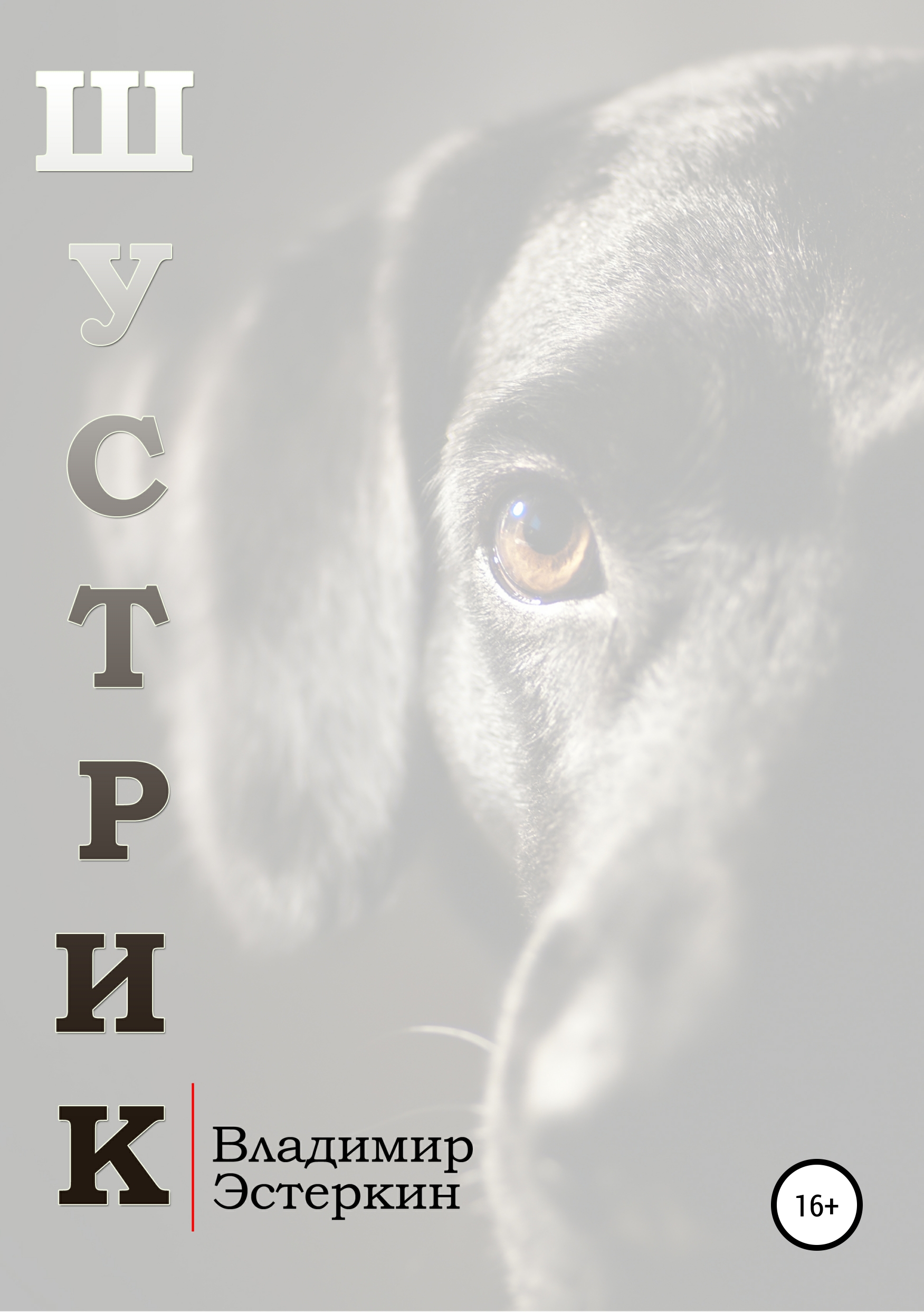 Обложка книги «Шустрик»