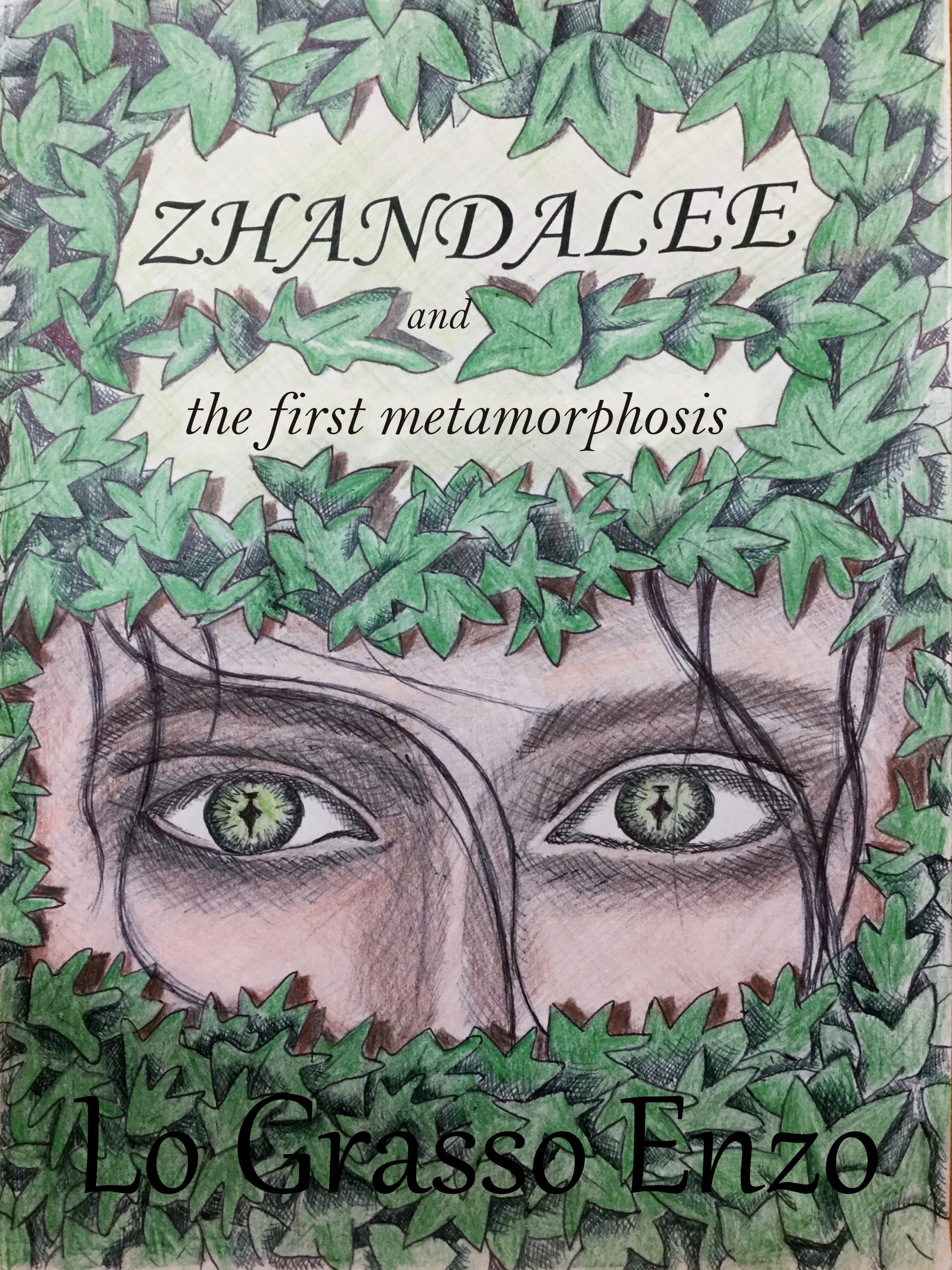 Обложка книги «Zhandalee And The First Metamorphosis»