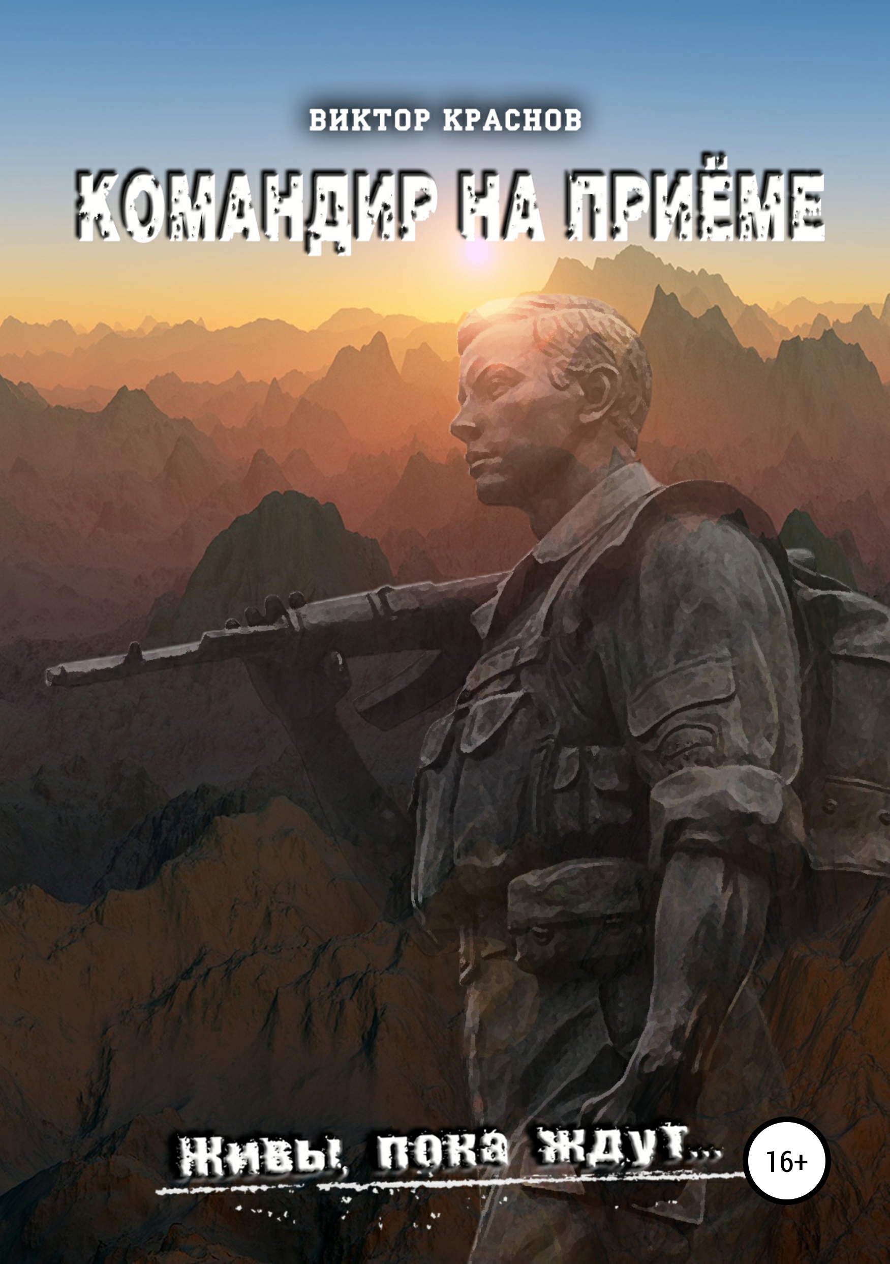 Обложка книги «Командир на приёме»