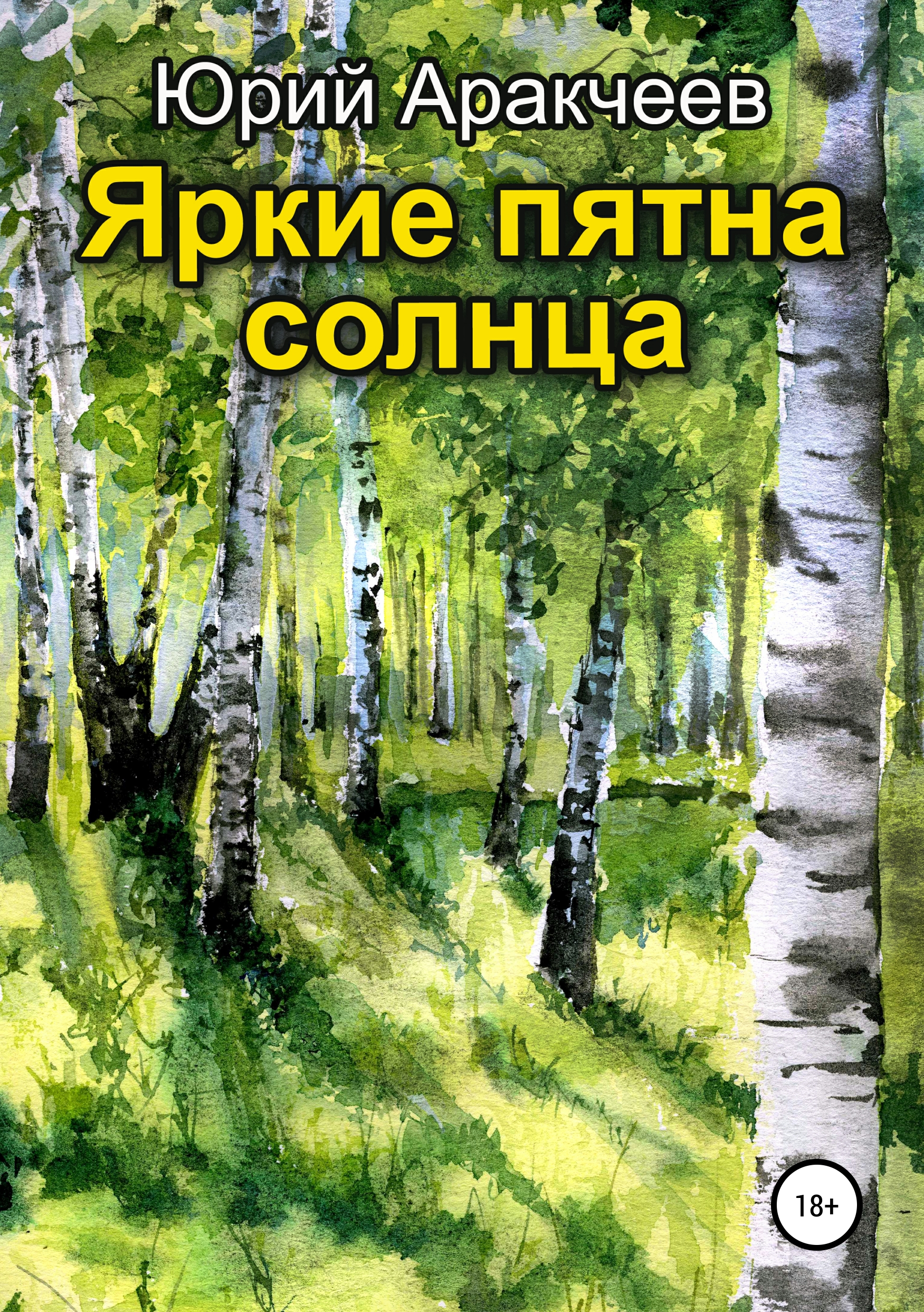 Обложка книги «Яркие пятна солнца»