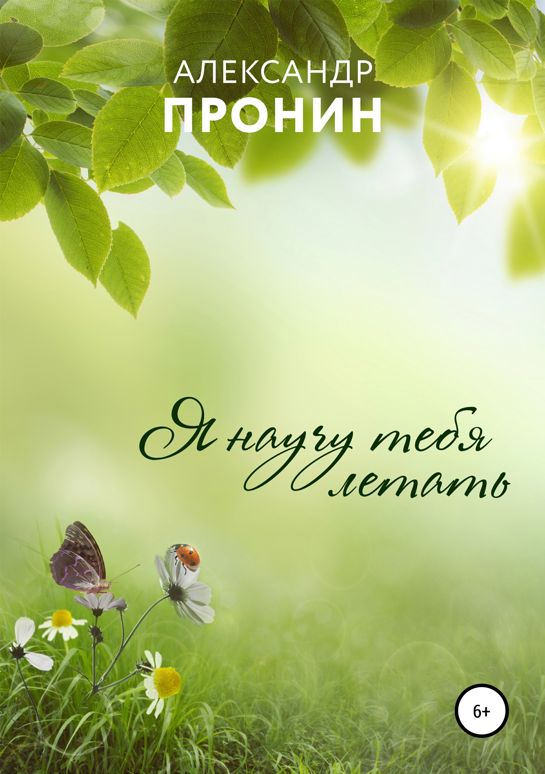 Обложка книги «Я научу тебя летать»