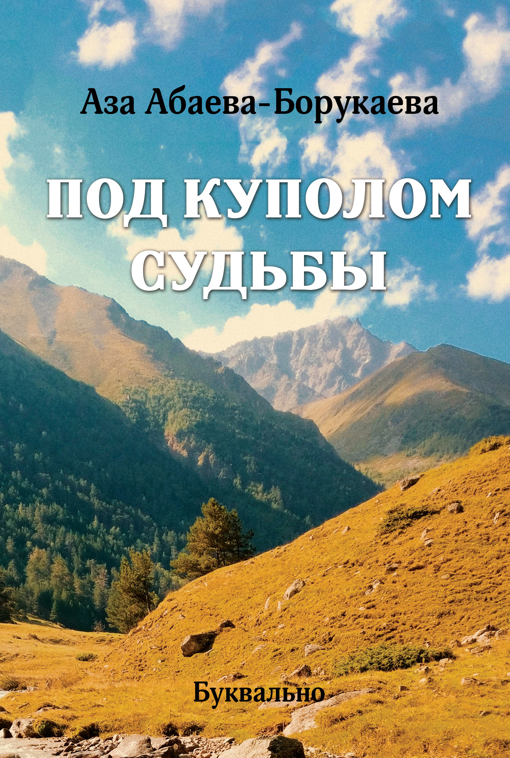 Обложка книги «Под куполом судьбы»
