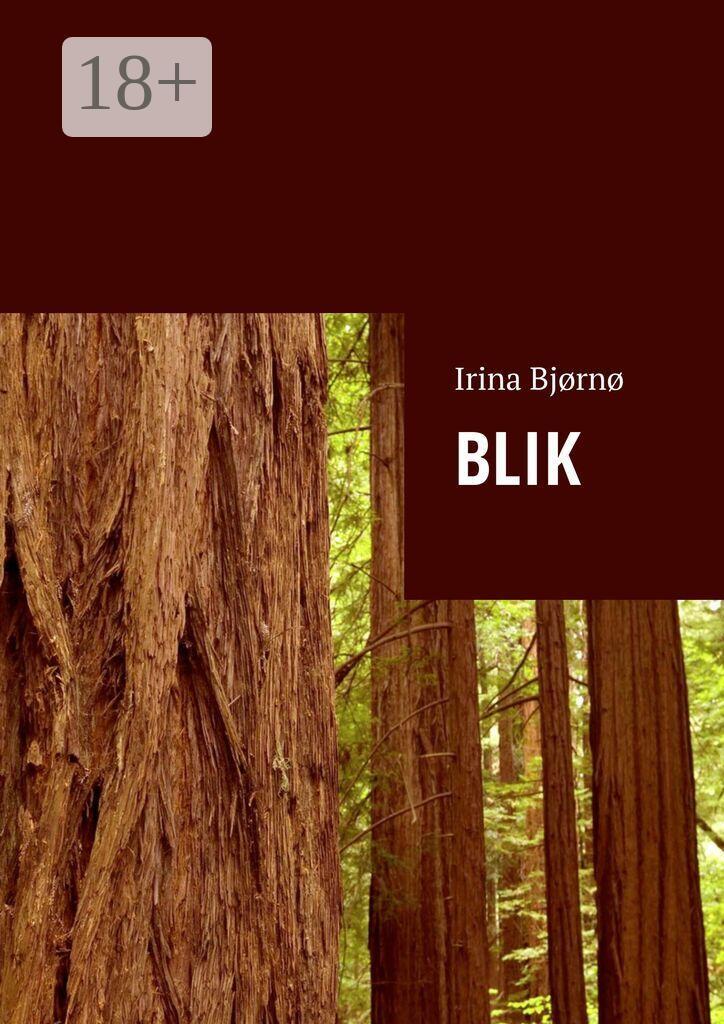 Обложка книги «Blik»