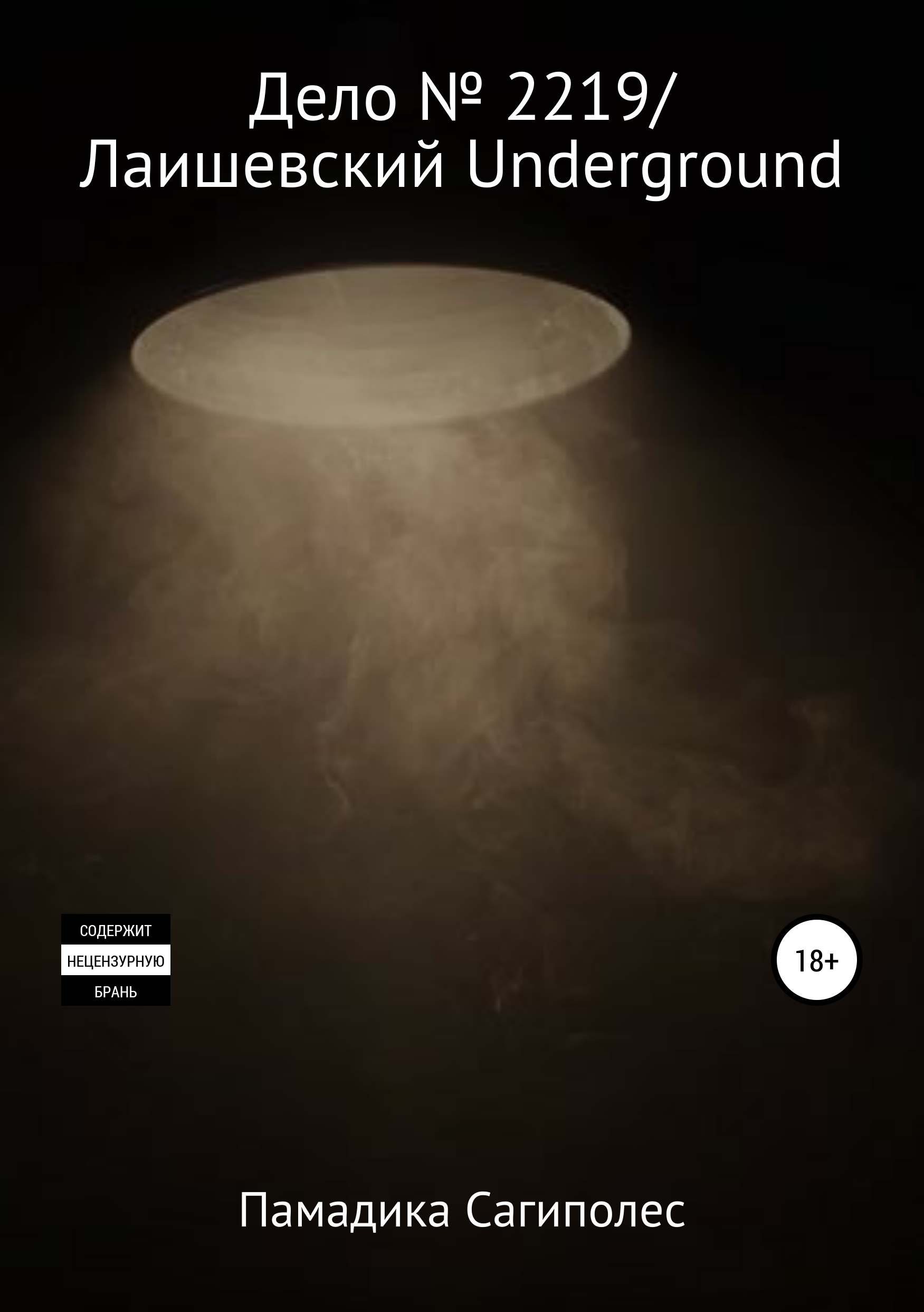 Обложка книги «Дело № 2219/Лаишевский Underground»