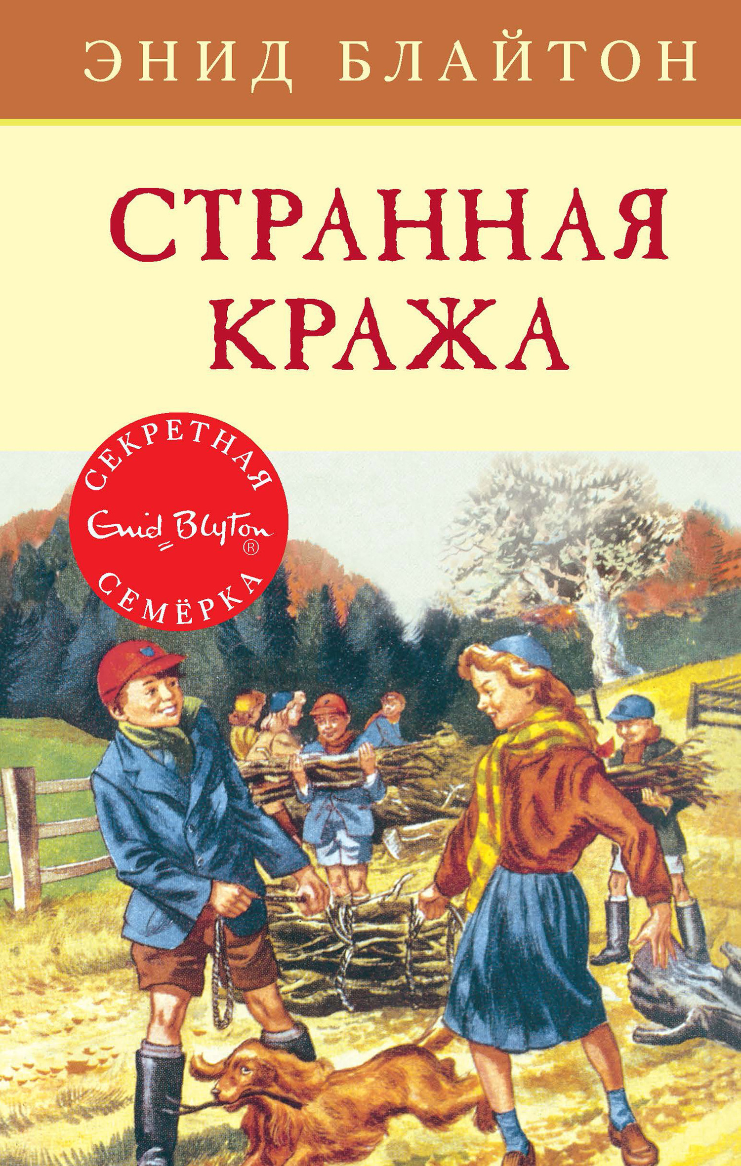 Обложка книги «Странная кража»