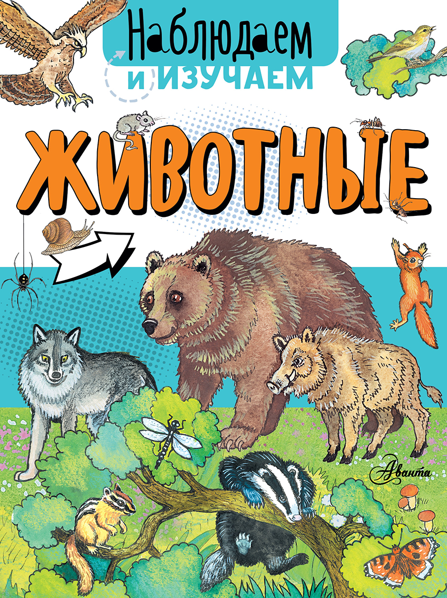 Обложка книги «Животные»