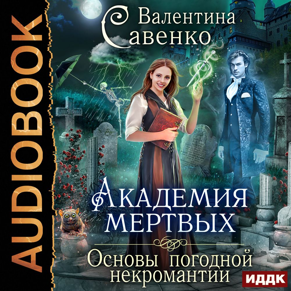 Обложка книги «Академия мертвых. Основы погодной некромантии»