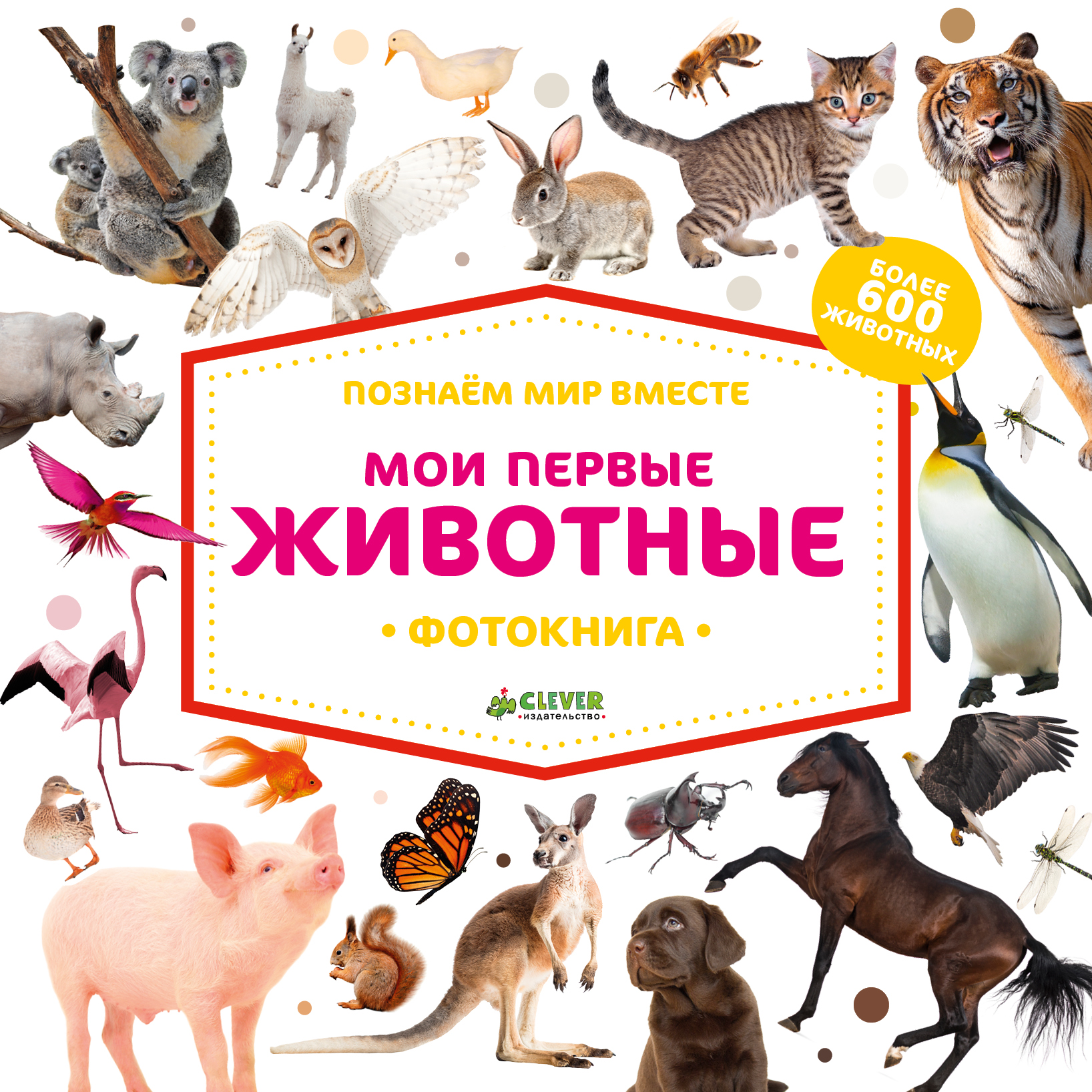 Обложка книги «Мои первые животные»
