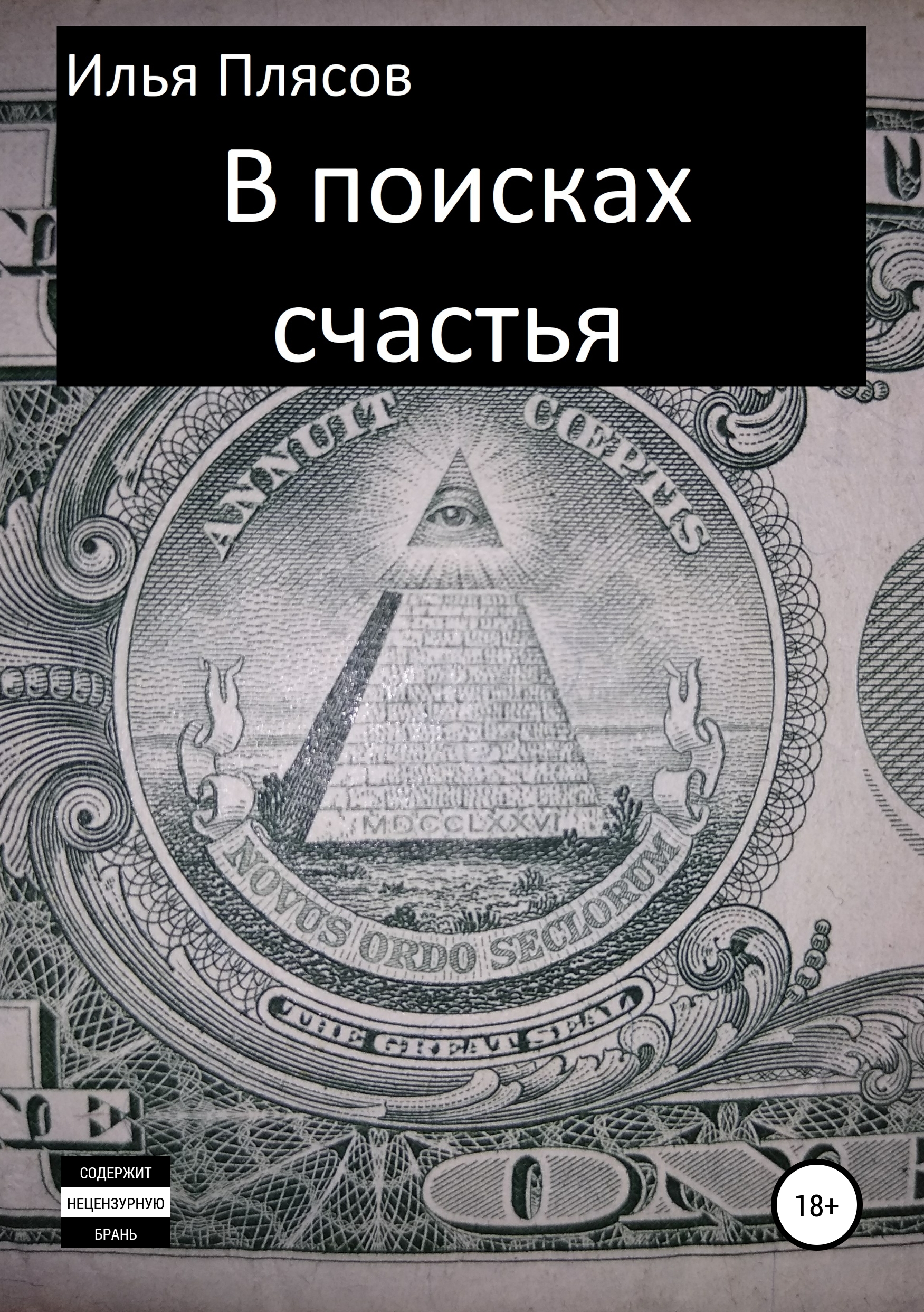 Обложка книги «В поисках счастья»