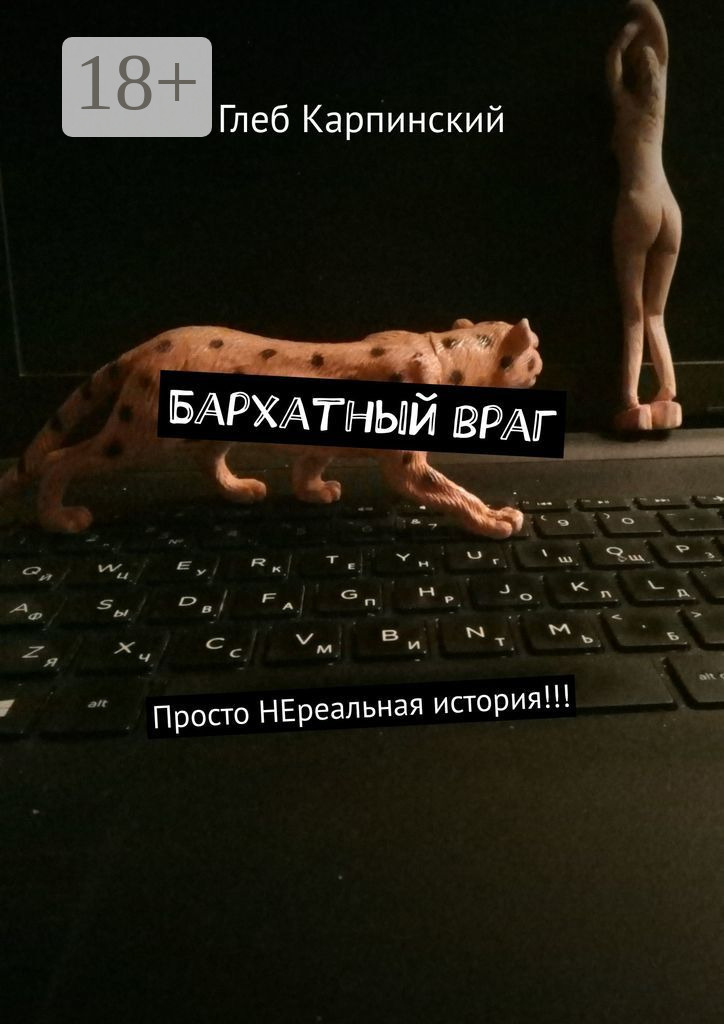 Обложка книги «Бархатный враг. Просто НЕреальная история!!!»