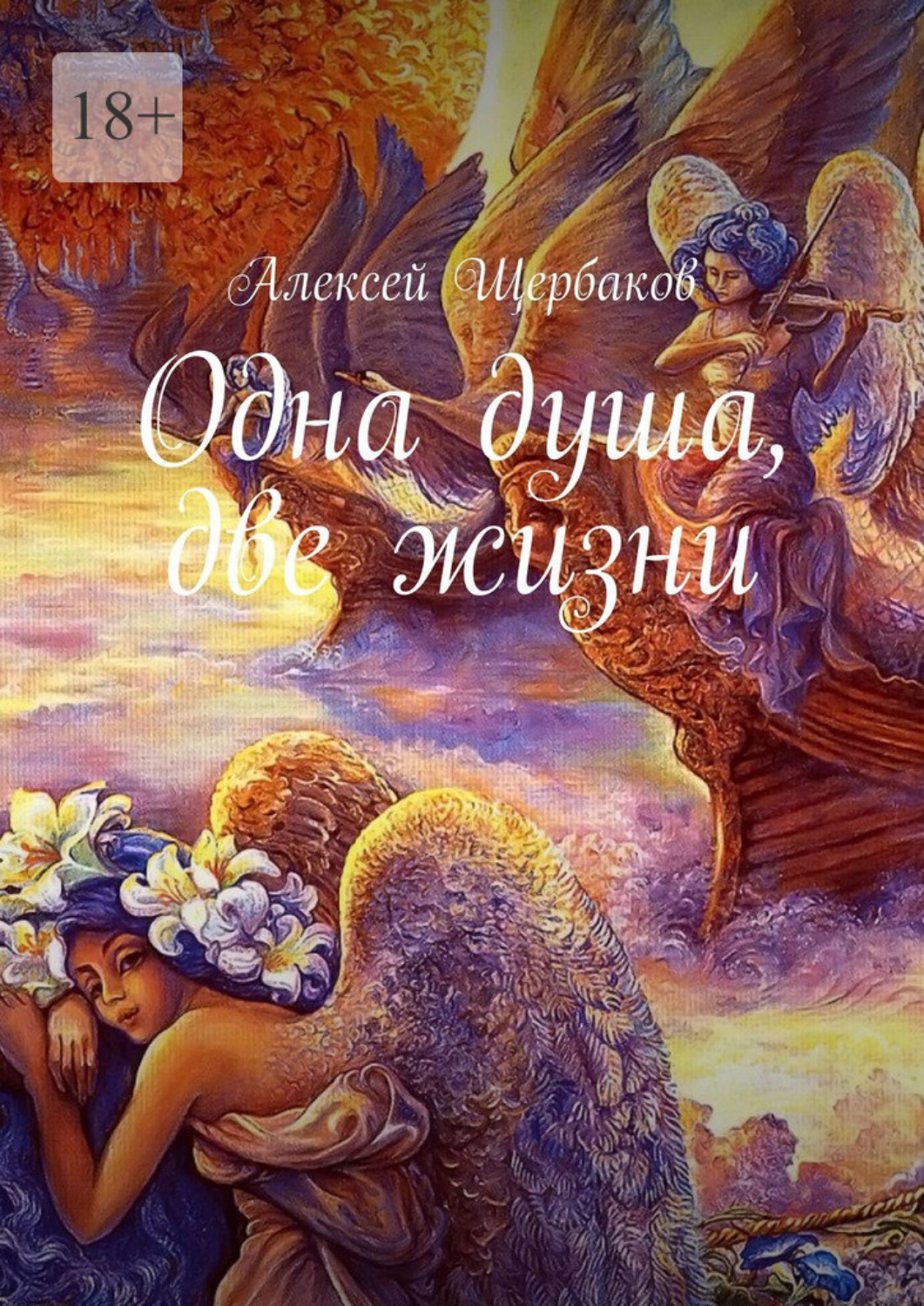 Обложка книги «Одна душа, две жизни»