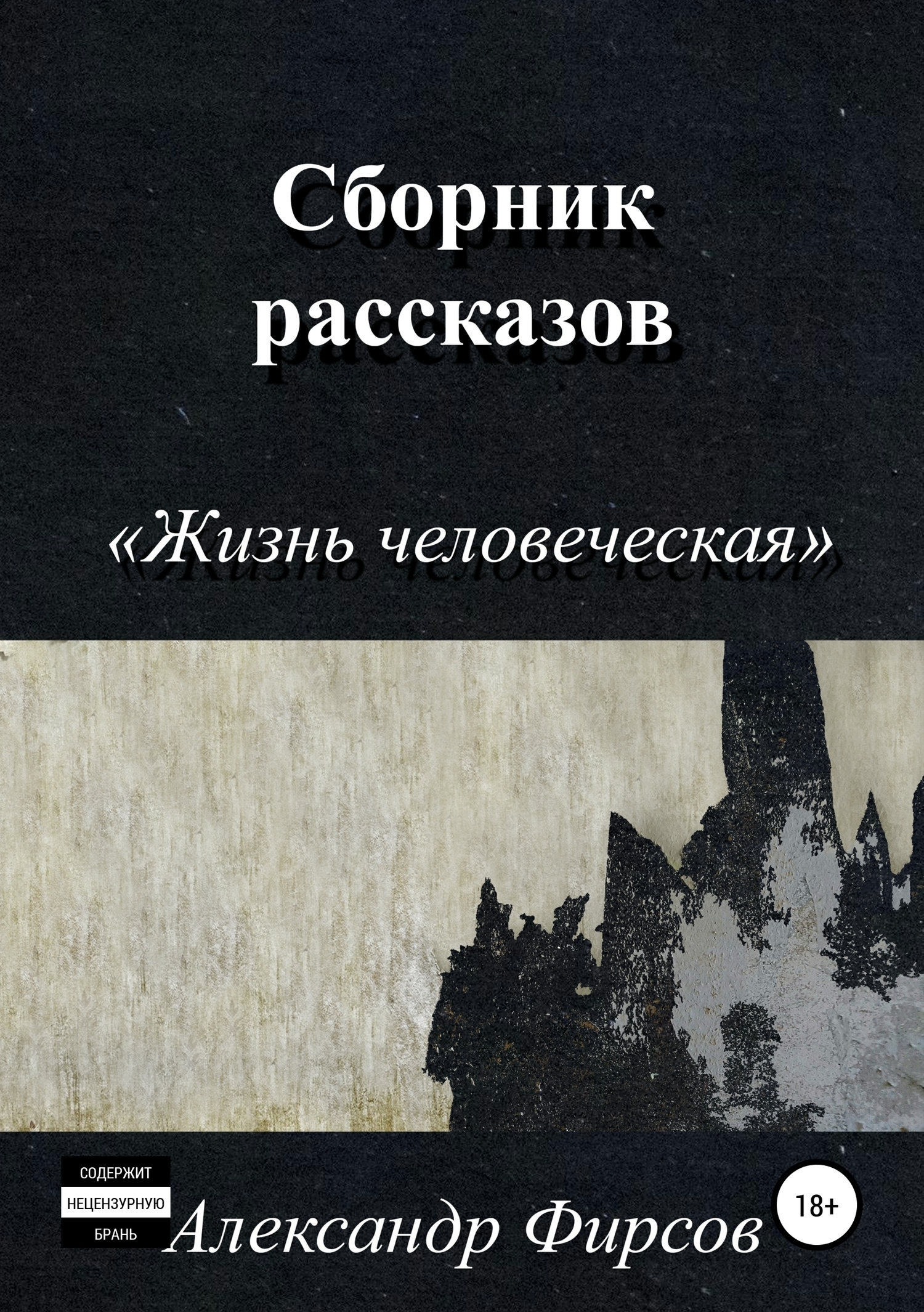 Обложка книги «Жизнь человеческая. Сборник рассказов»
