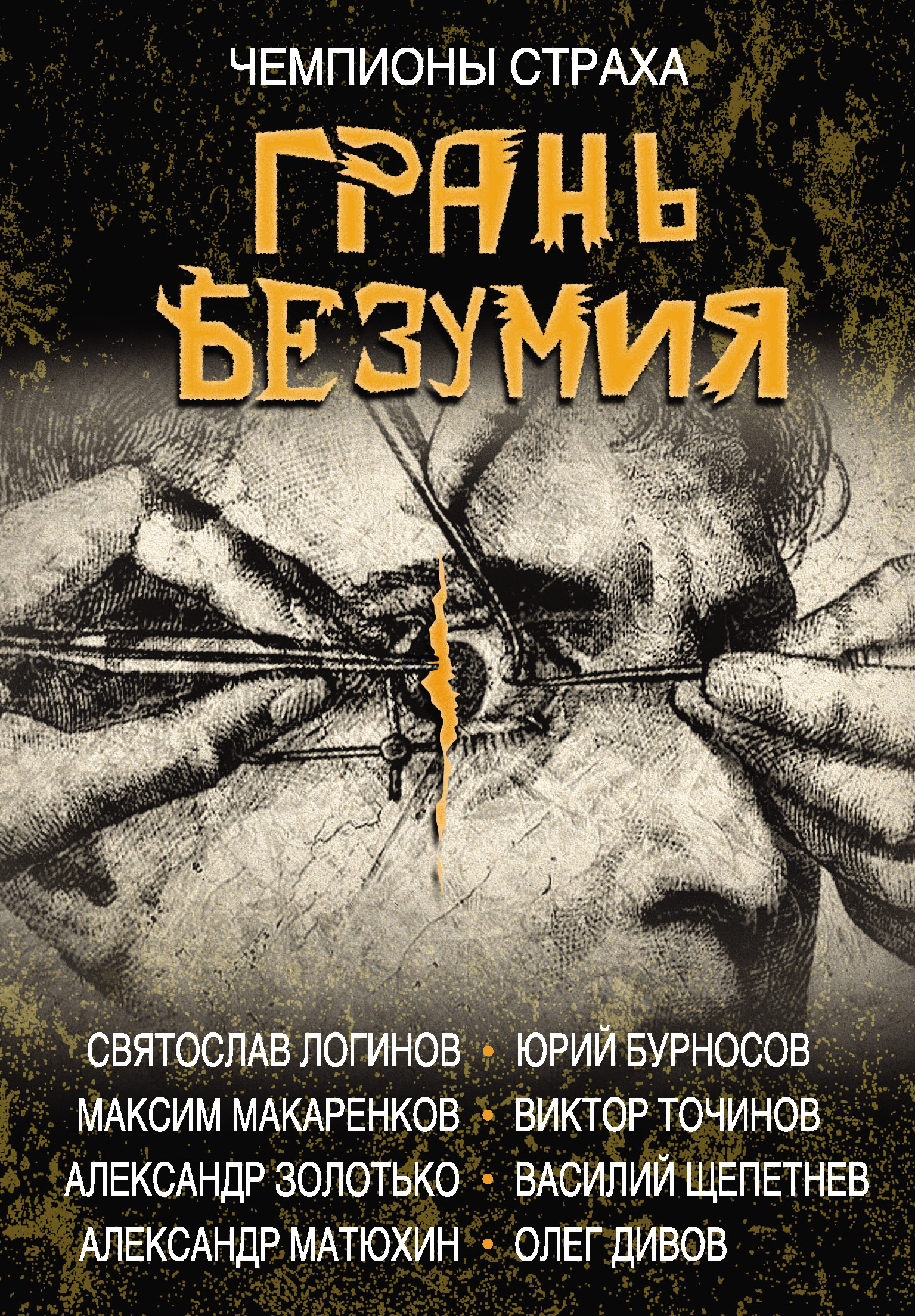 Обложка книги «Грань безумия»