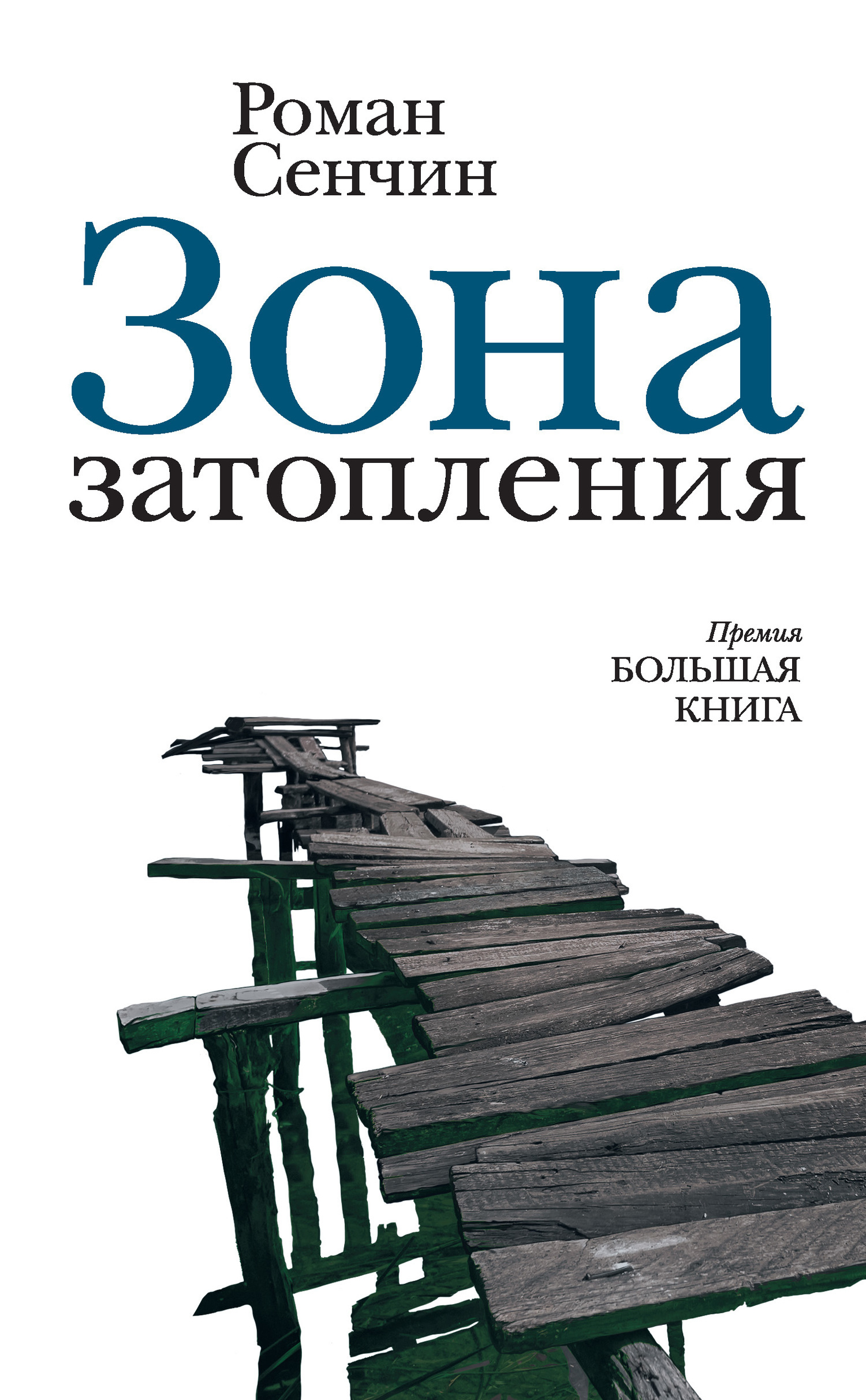 Обложка книги «Зона затопления (сборник)»