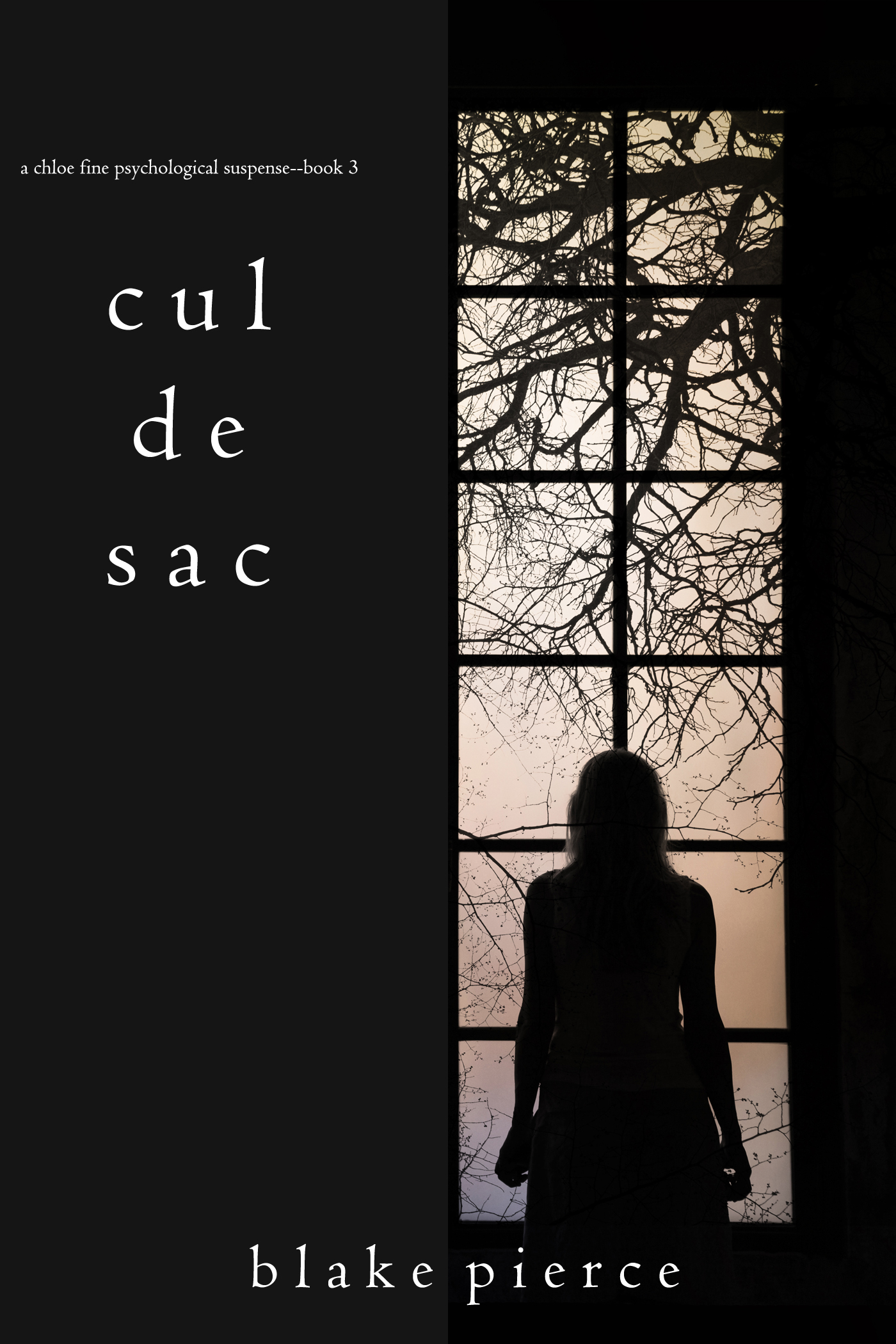 Обложка книги «Cul de Sac»