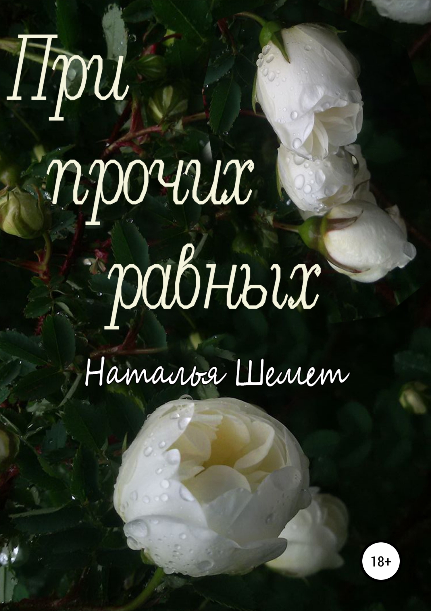 Обложка книги «При прочих равных»