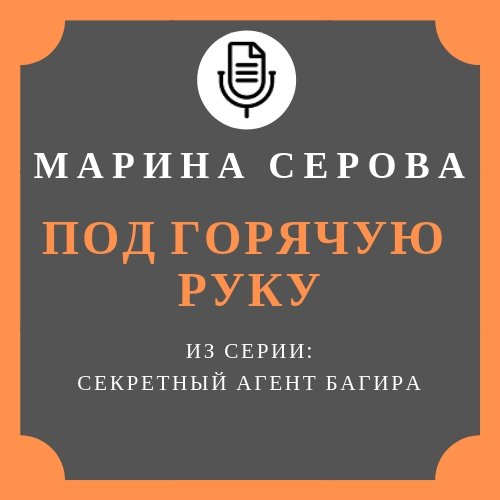 Обложка книги «Под горячую руку»