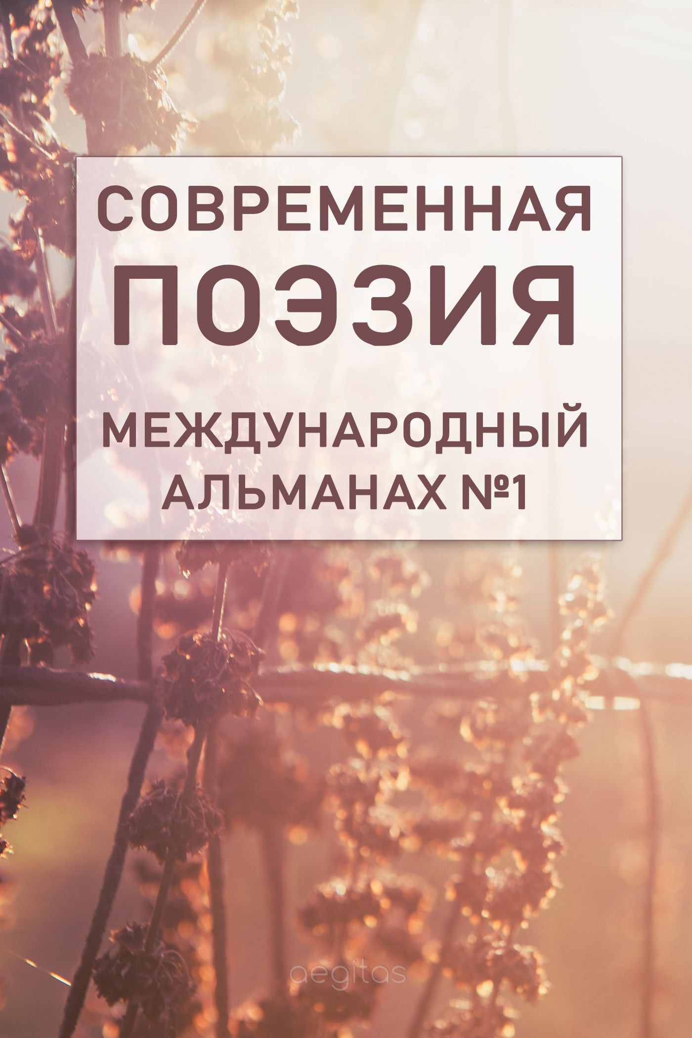 Обложка книги «Современная поэзия. Международный альманах №1»