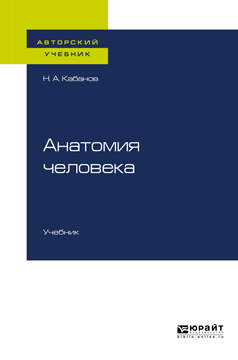 Обложка книги «Анатомия человека. Учебник для вузов»