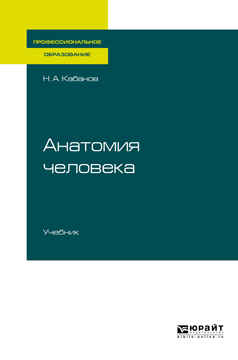 Обложка книги «Анатомия человека. Учебник для СПО»