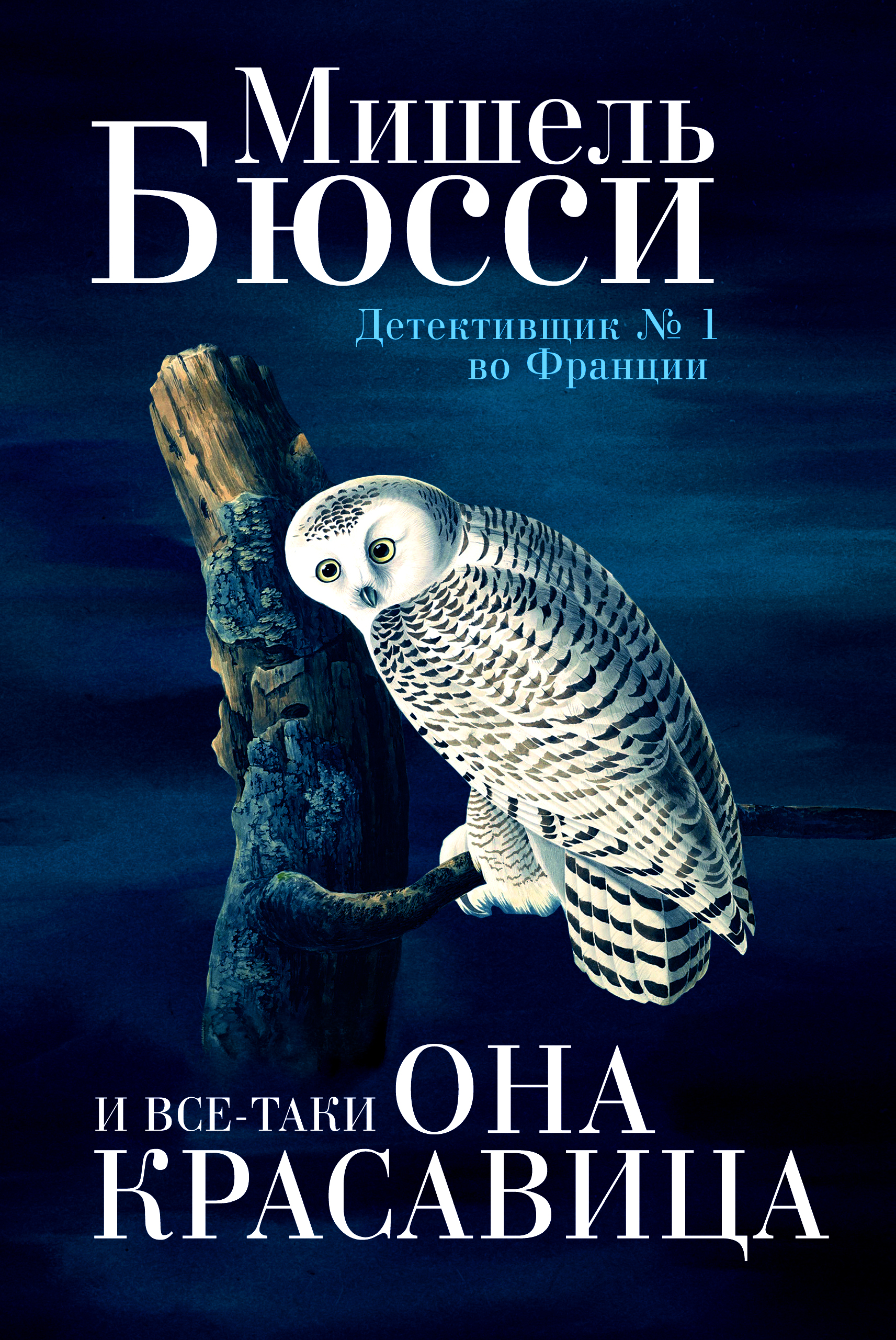 Обложка книги «И все-таки она красавица»
