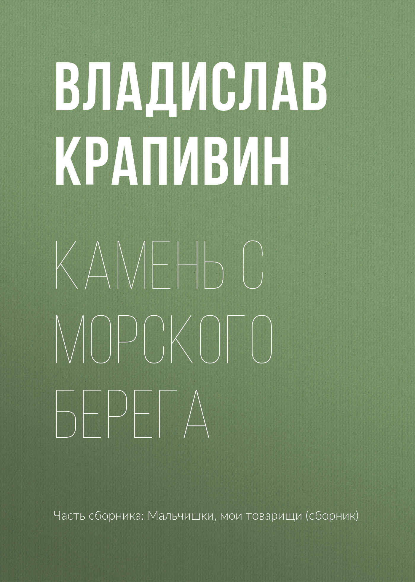Обложка книги «Камень с морского берега»