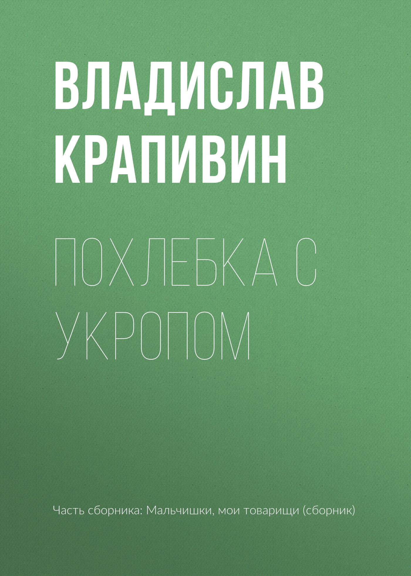 Обложка книги «Похлебка с укропом»